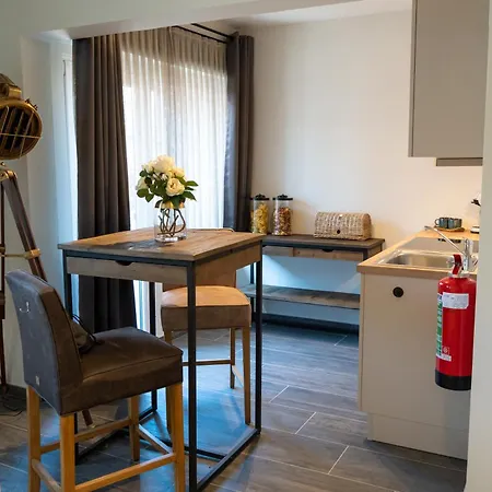 Modern Boutique With Balcony Near Aachen Apartment